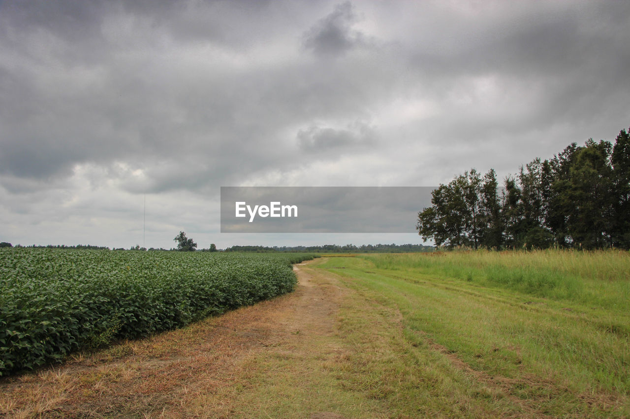 Scenic view of grassy field against cloudy sky