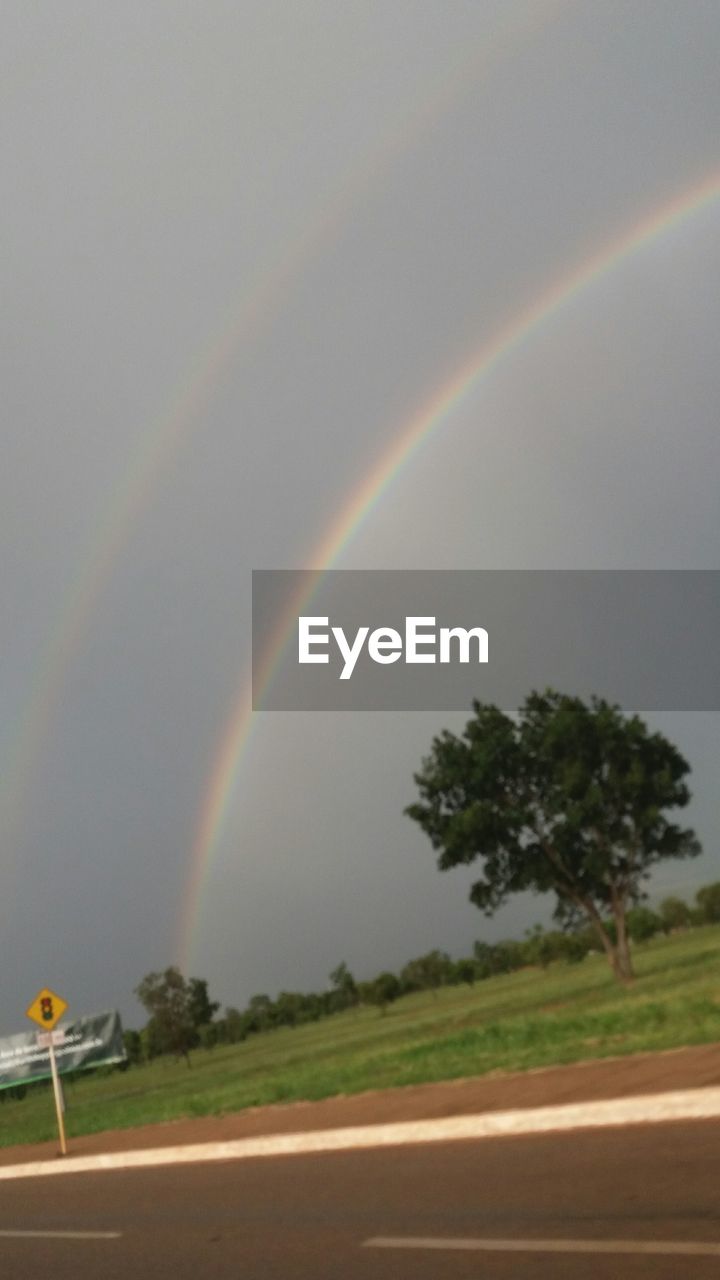 RAINBOW OVER TREES AGAINST SKY