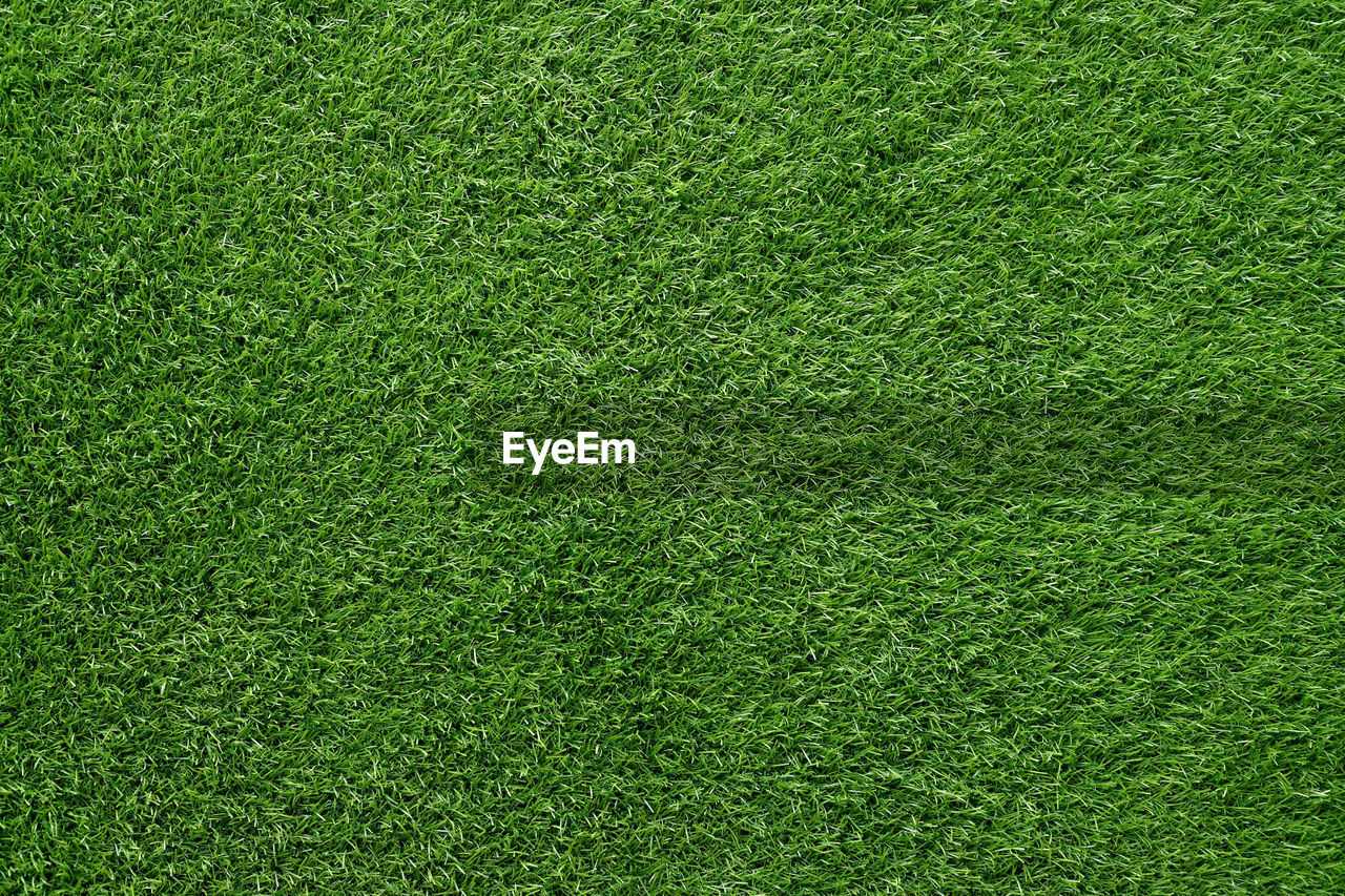 Green grass background, artificial grass on soccer field