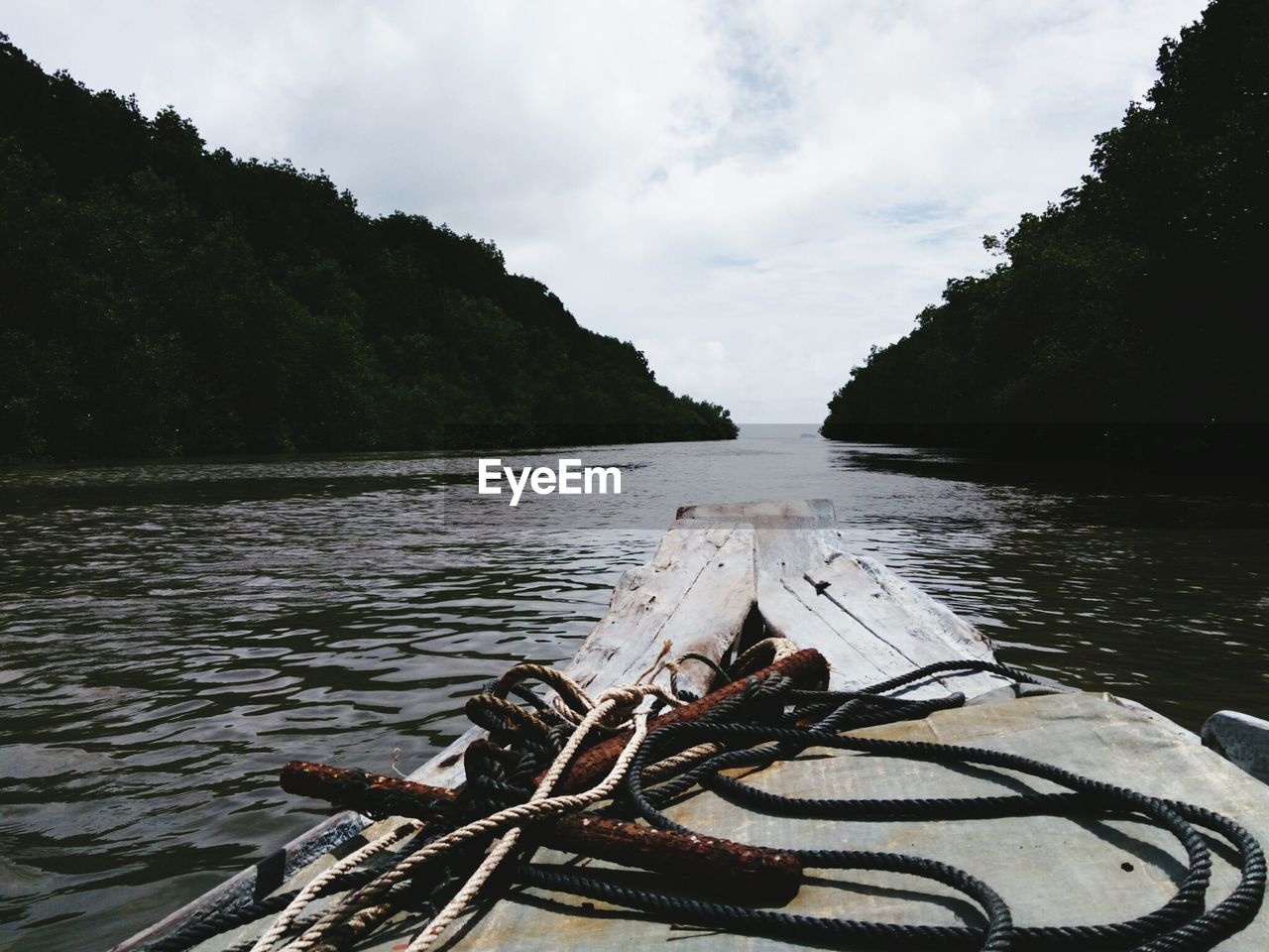 Scenic view of river in forest against sky