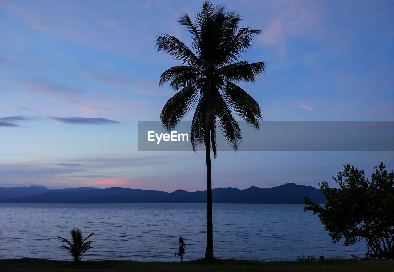 The silhouette of my beautiful daughter under the coconut tree on the side of the lake.