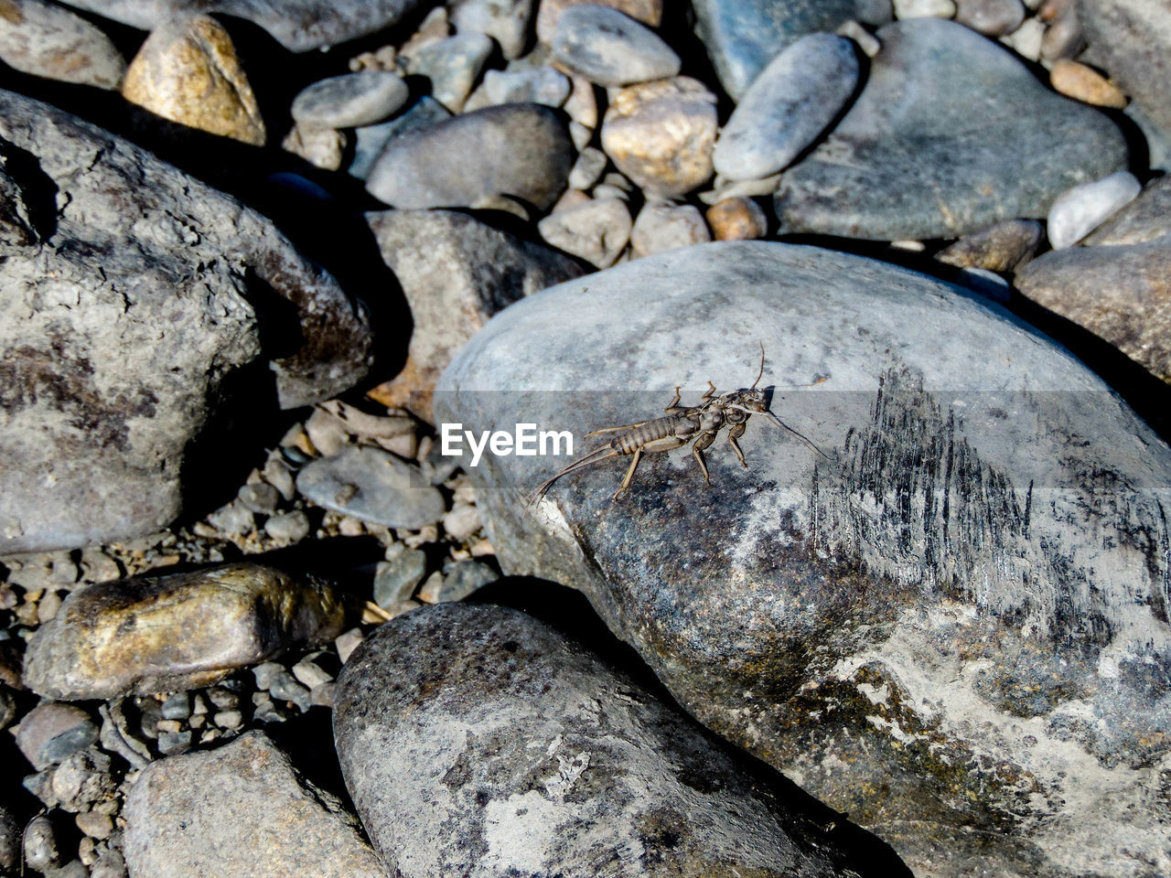 HIGH ANGLE VIEW OF STONES ON BEACH