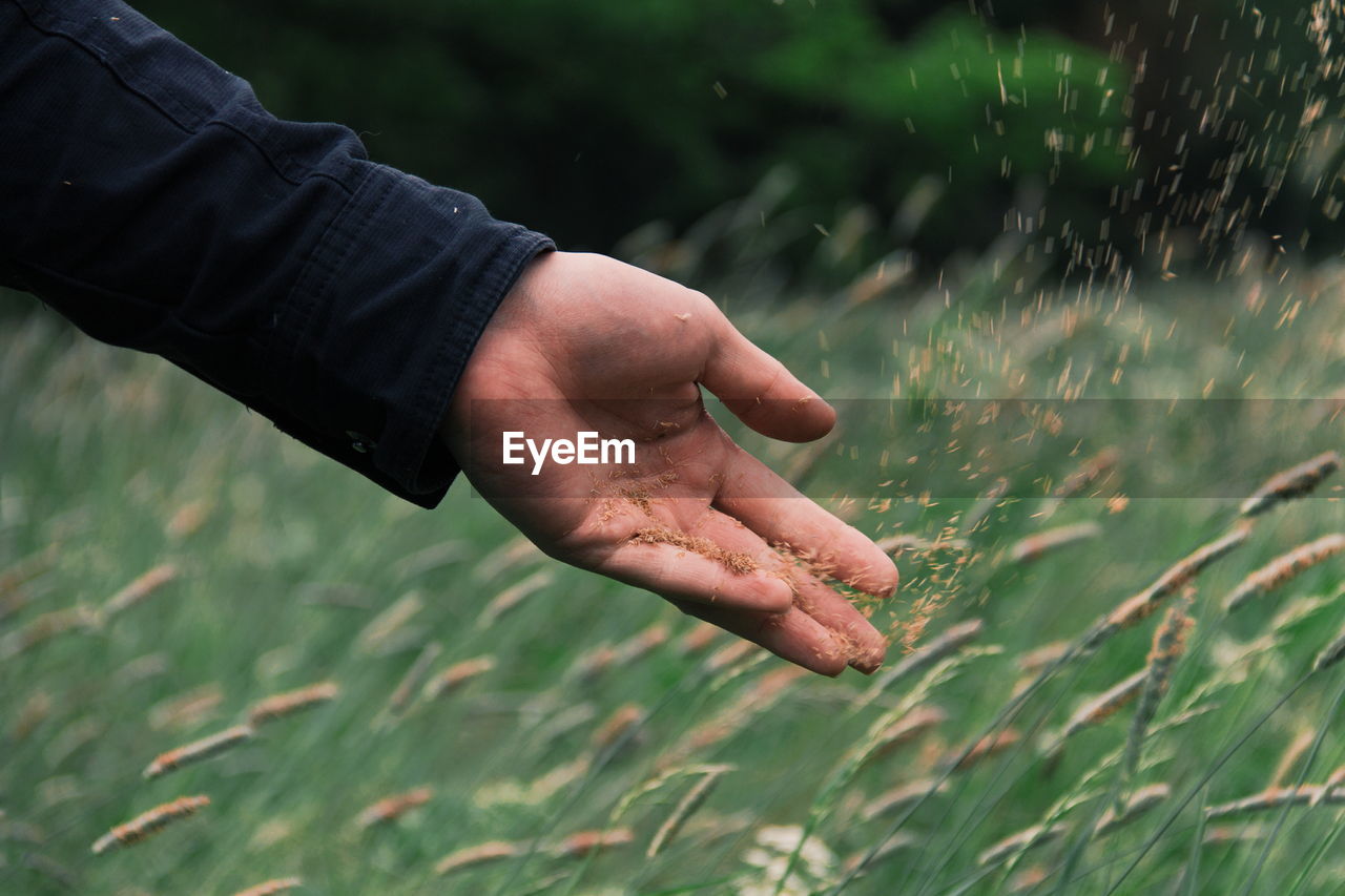 Close-up of hand on grass