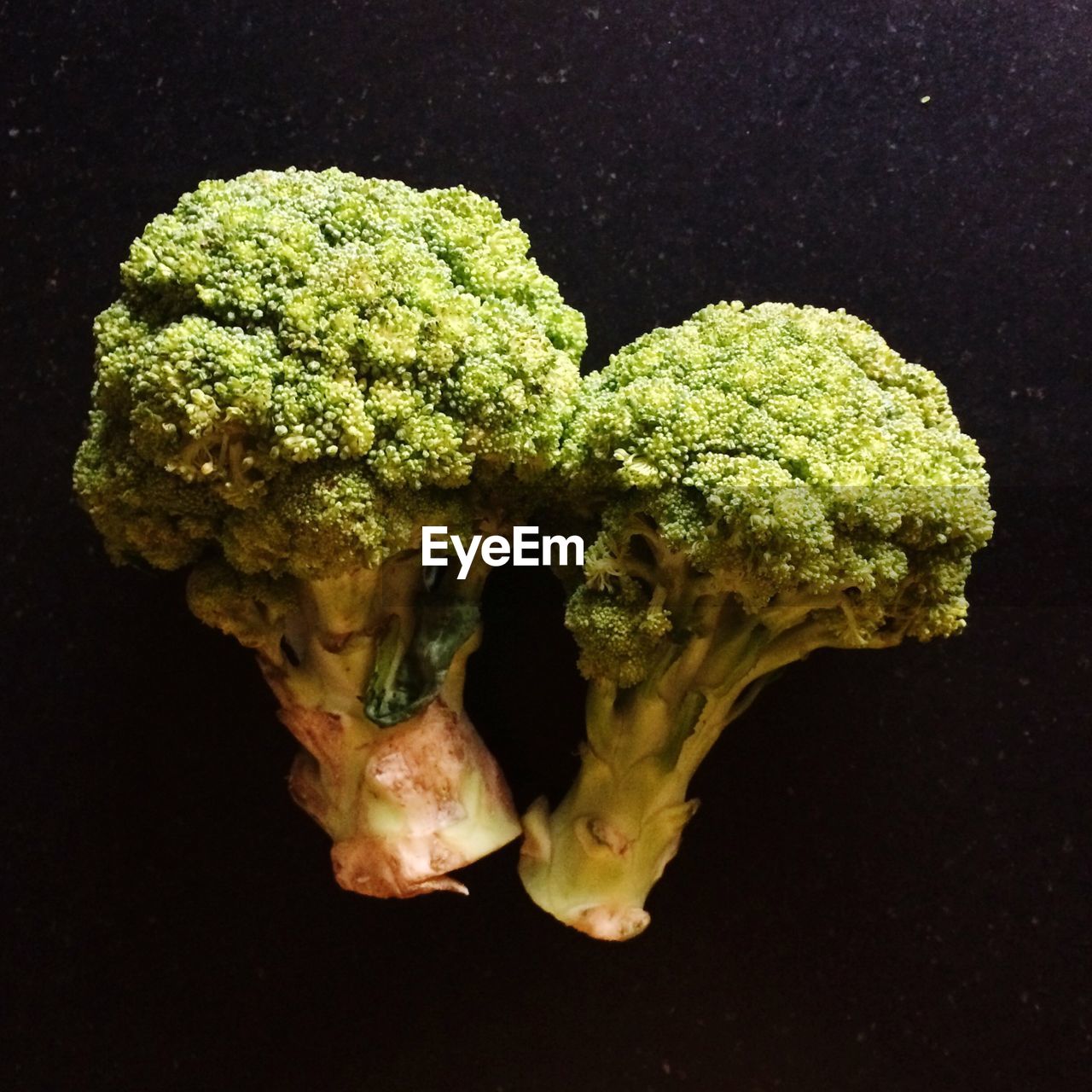 Close-up of broccoli against black background