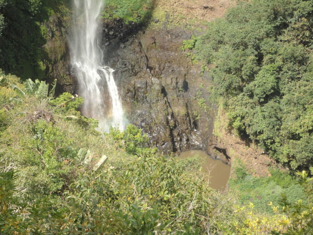 WATERFALL IN FOREST