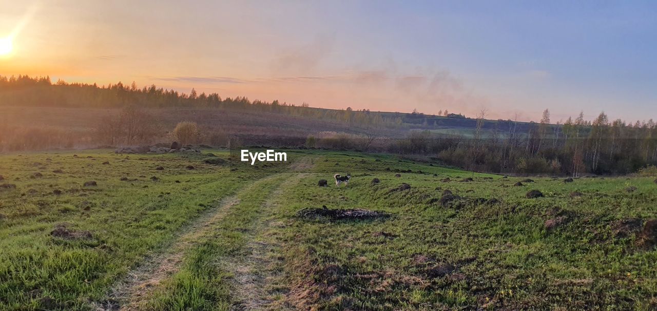 SCENIC VIEW OF LAND AGAINST SKY DURING SUNSET