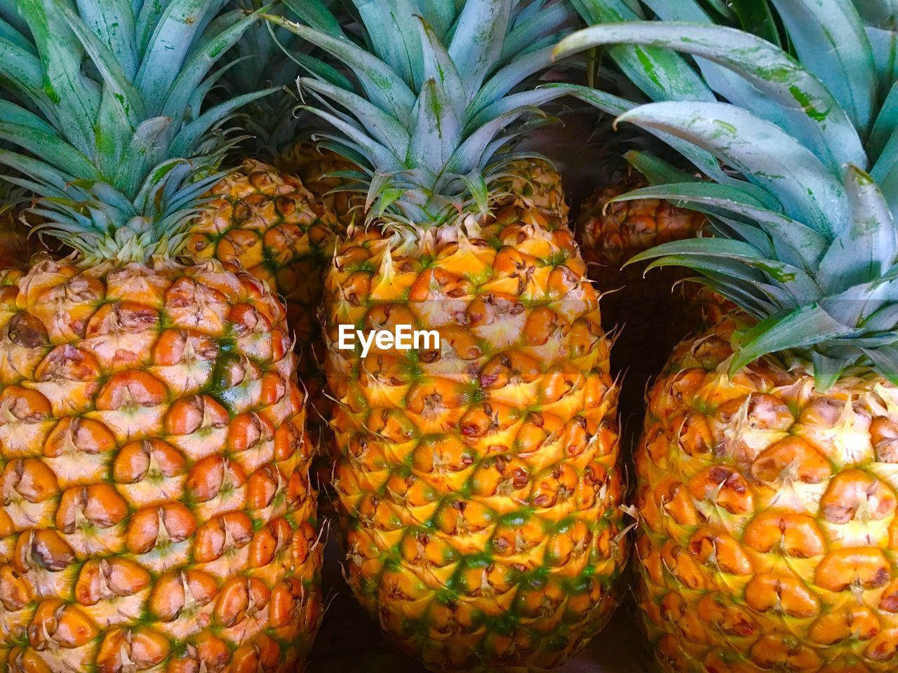 Full frame shot of pineapples