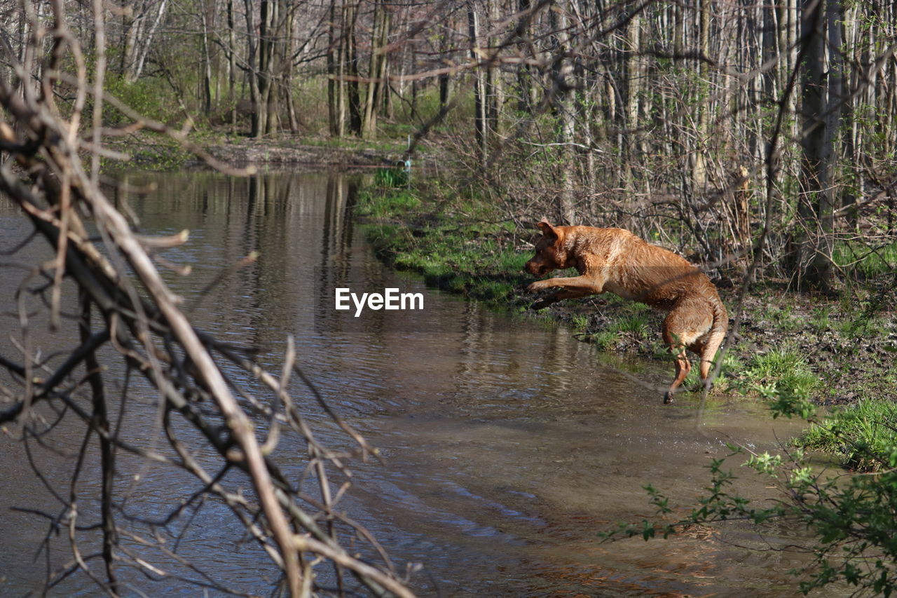 VIEW OF A DRINKING WATER