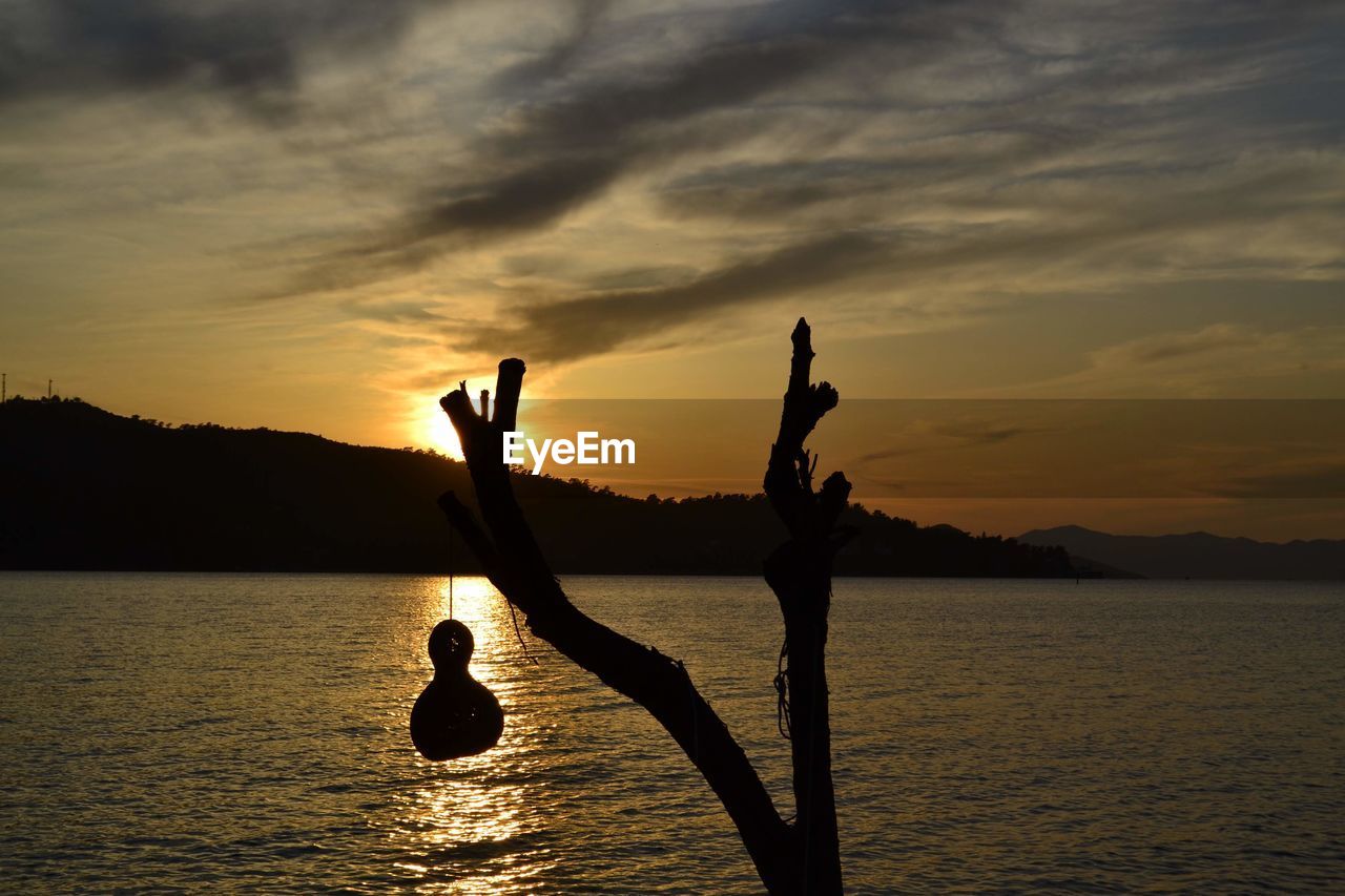 Silhouette tree and tuskish dream catcher  in lake against sky during sunset