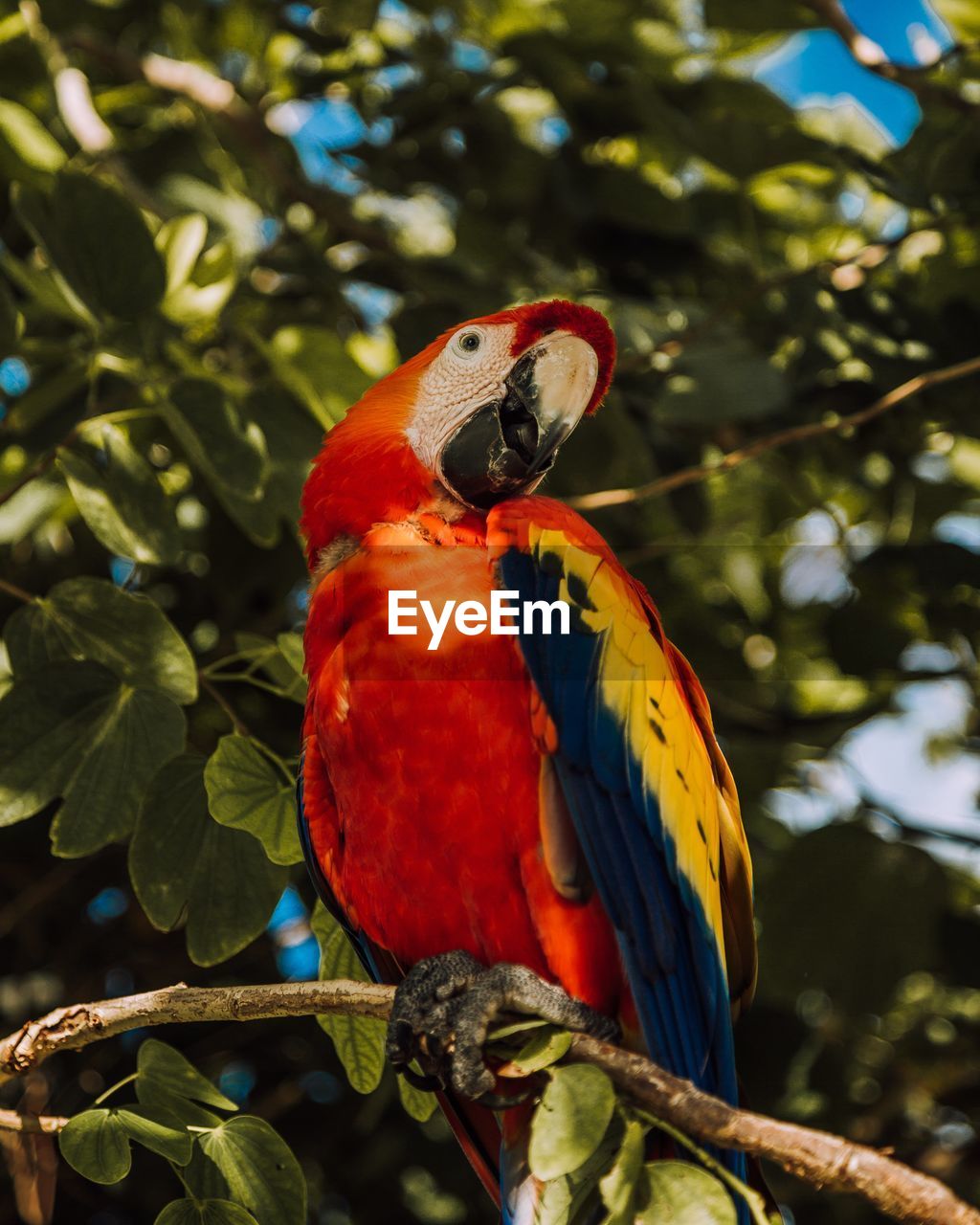 Bird perching on branch