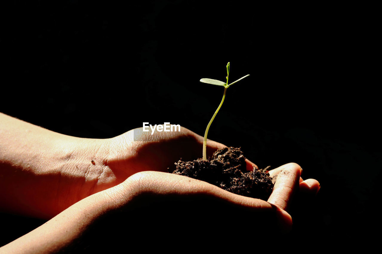 Close-up of human hands holding sapling with soil over black background