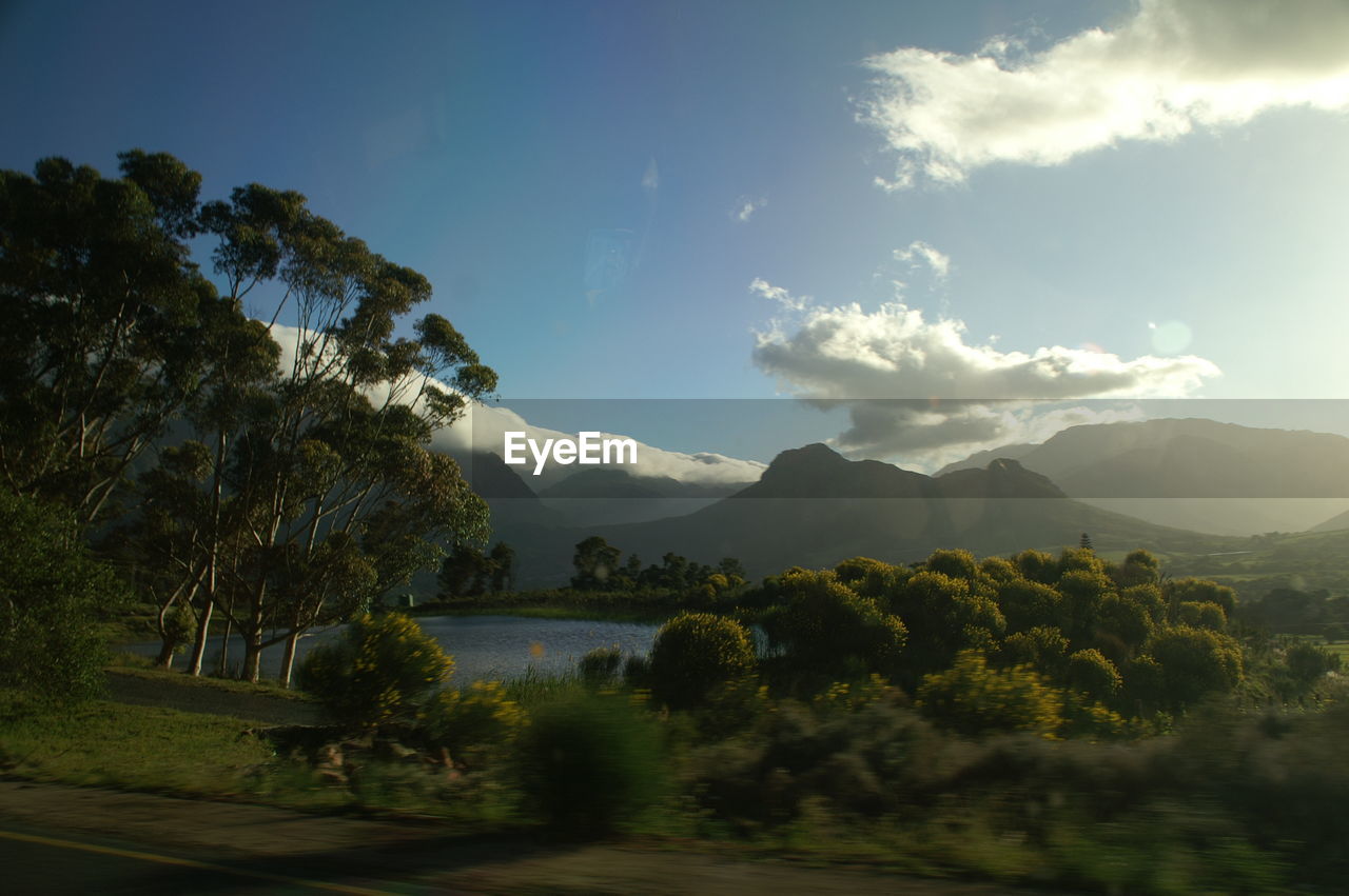 Scenic view of trees and mountains against sky