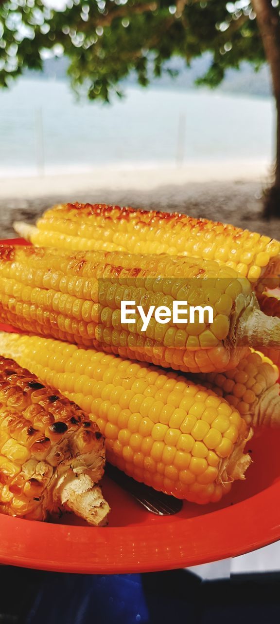 vegetable, sweet corn, food, food and drink, dish, corn, freshness, healthy eating, corn kernels, wellbeing, produce, no people, close-up, day, barbecue, meal, cuisine, nature, fish, focus on foreground, outdoors, plant, yellow
