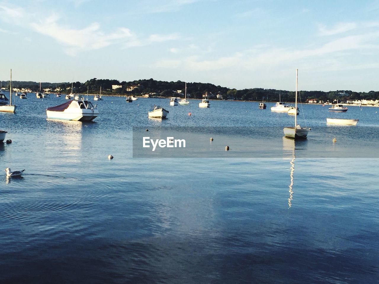 BOATS MOORED IN SEA