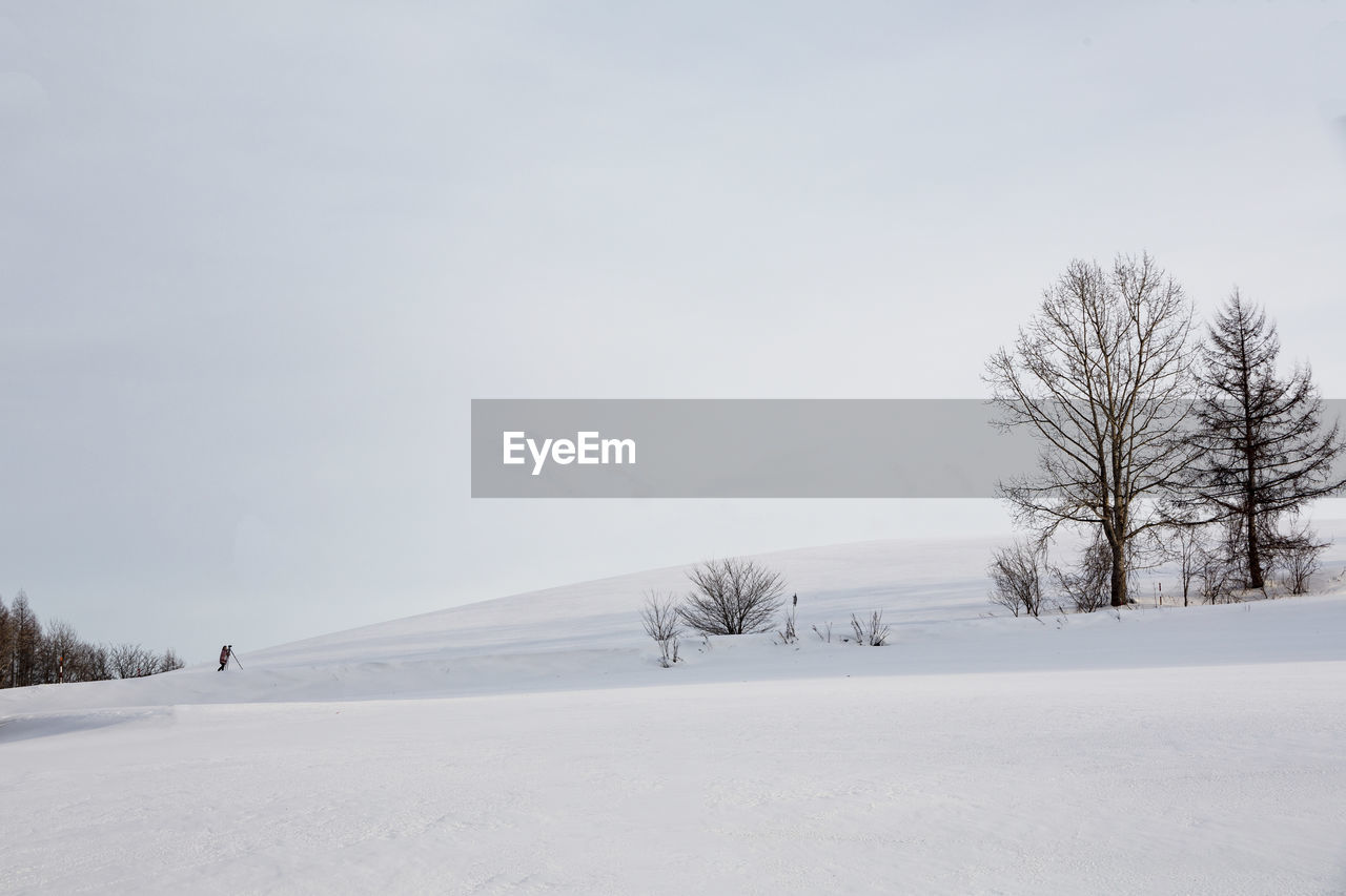 BARE TREES ON SNOW COVERED FIELD AGAINST SKY DURING WINTER