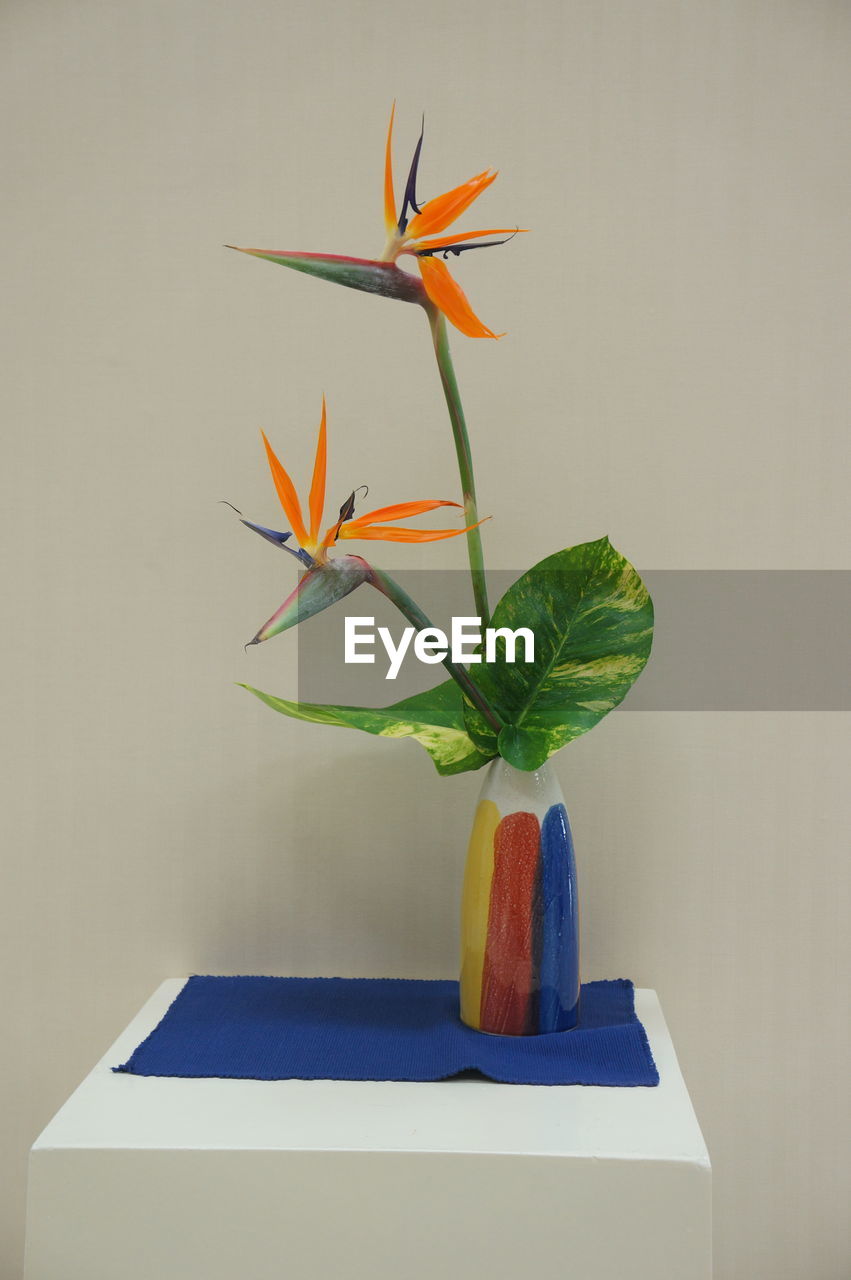 CLOSE-UP OF ORANGE FLOWER ON TABLE