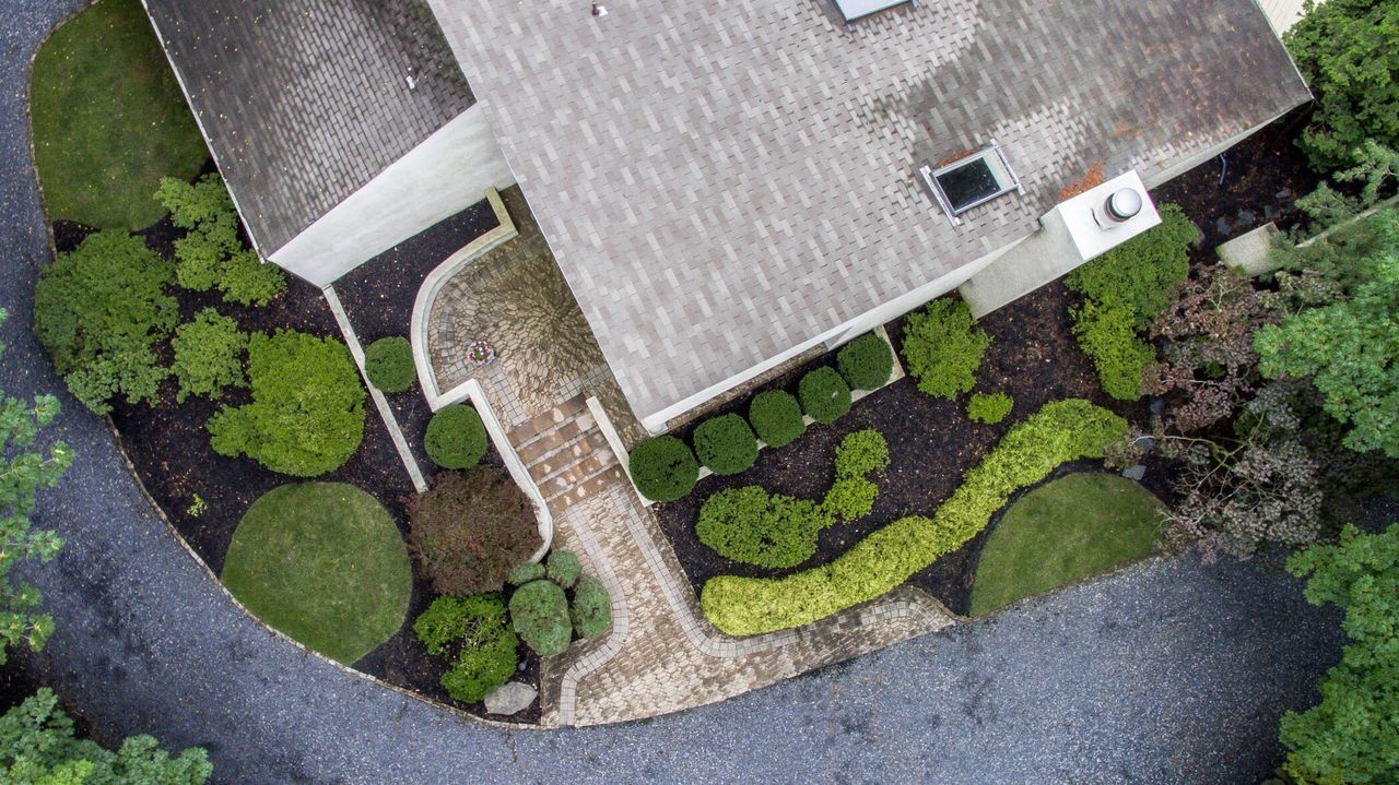 PLANTS GROWING ON A WALL