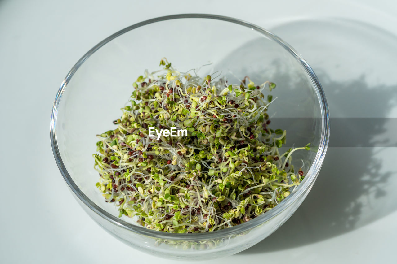 close-up of food in bowl