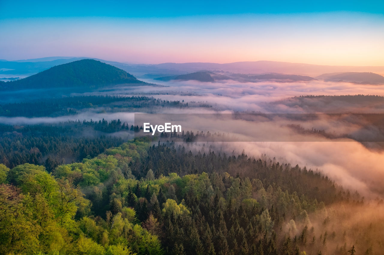 Lazy misty morning. foggy forest during autumn sunrise, saxon switzerland, germany.