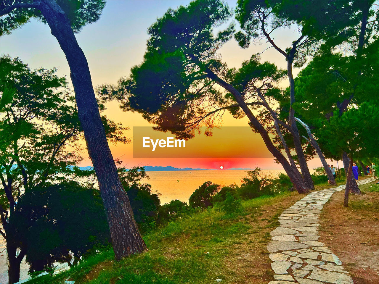 tree, plant, sky, nature, beauty in nature, scenics - nature, landscape, sunset, environment, land, water, cloud, footpath, tranquility, sunlight, travel destinations, travel, no people, tranquil scene, outdoors, grass, sun, sea, tourism, rural scene, tree trunk, summer, trunk, idyllic, multi colored, non-urban scene, growth, green, branch, the way forward, leaf, road, vacation