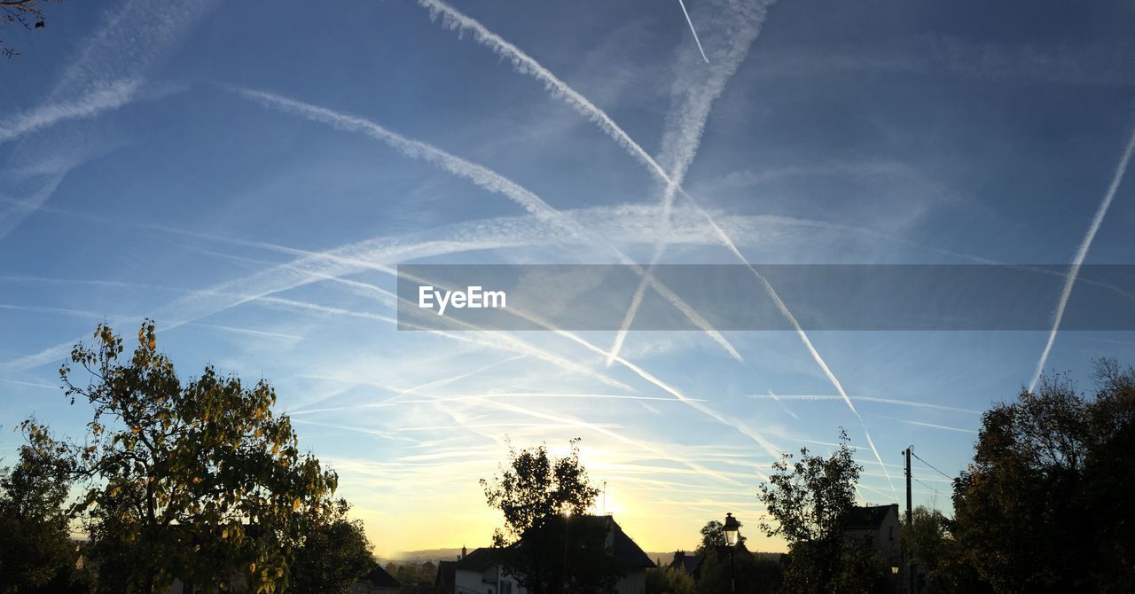 sky, tree, cloud, plant, nature, sunlight, beauty in nature, vapor trail, low angle view, no people, scenics - nature, silhouette, tranquility, outdoors, environment, growth, dusk, blue, tranquil scene, evening, sun