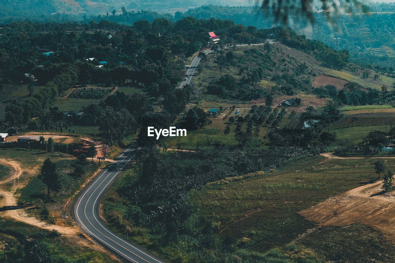 High angle view of road amidst trees