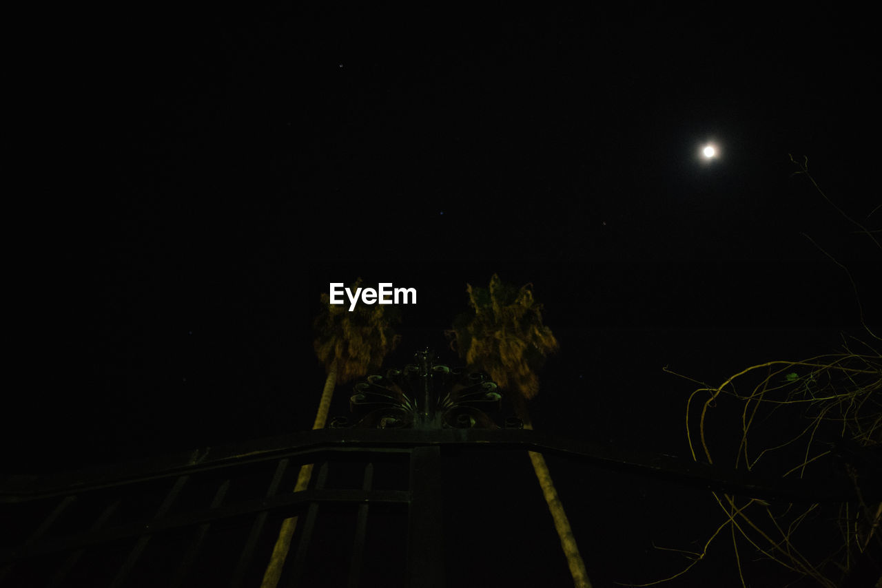 LOW ANGLE VIEW OF ILLUMINATED PLANTS AT NIGHT