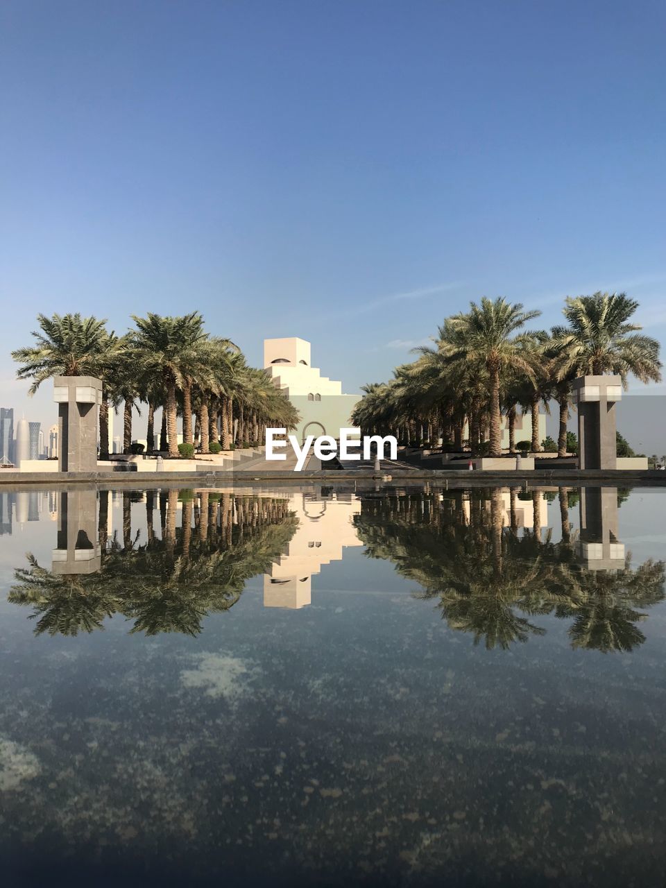 Reflection of palm trees in swimming pool