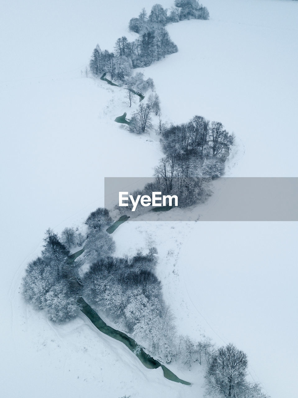 Trees on snow covered land against sky