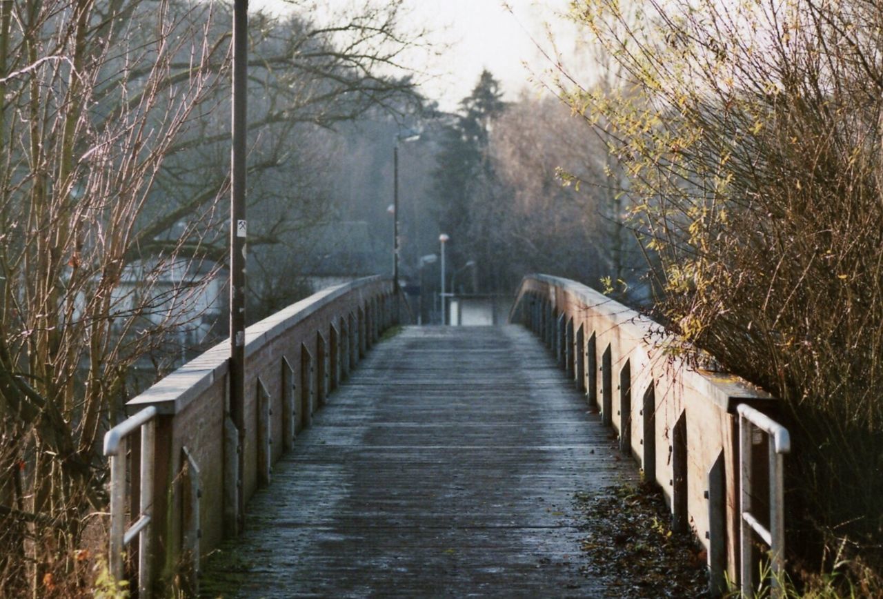 Walkway along trees