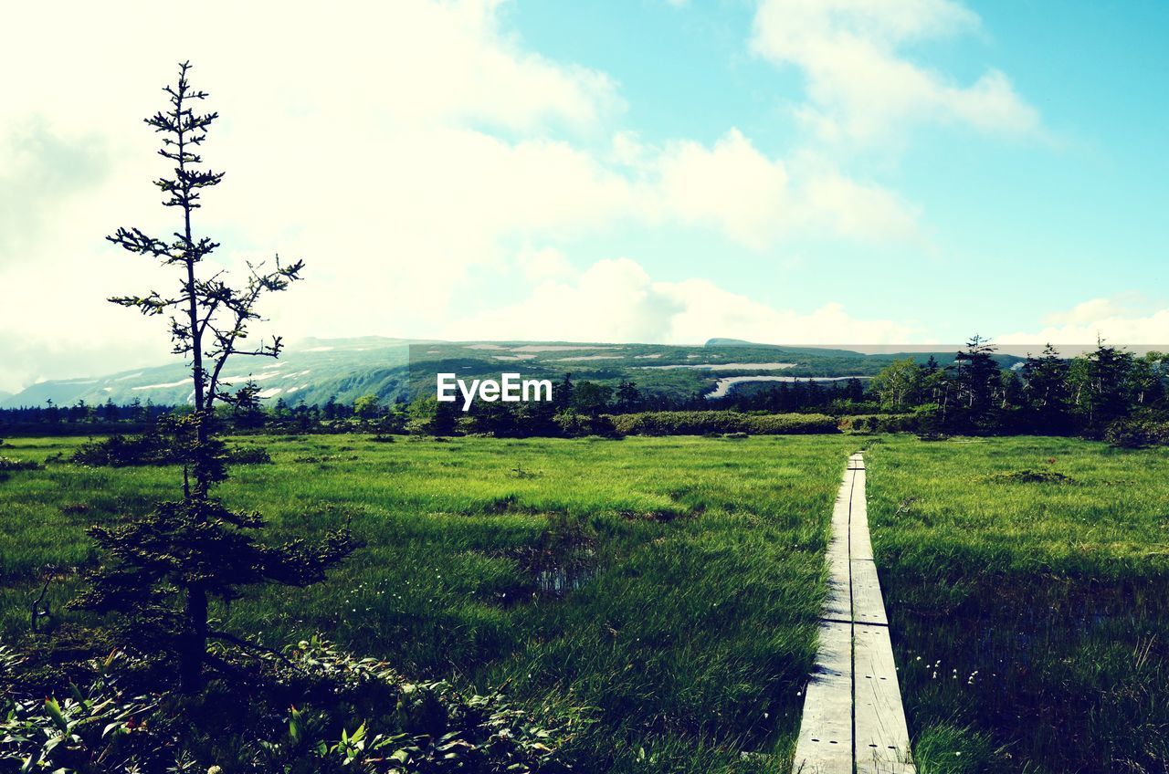 SCENIC VIEW OF FARM AGAINST SKY