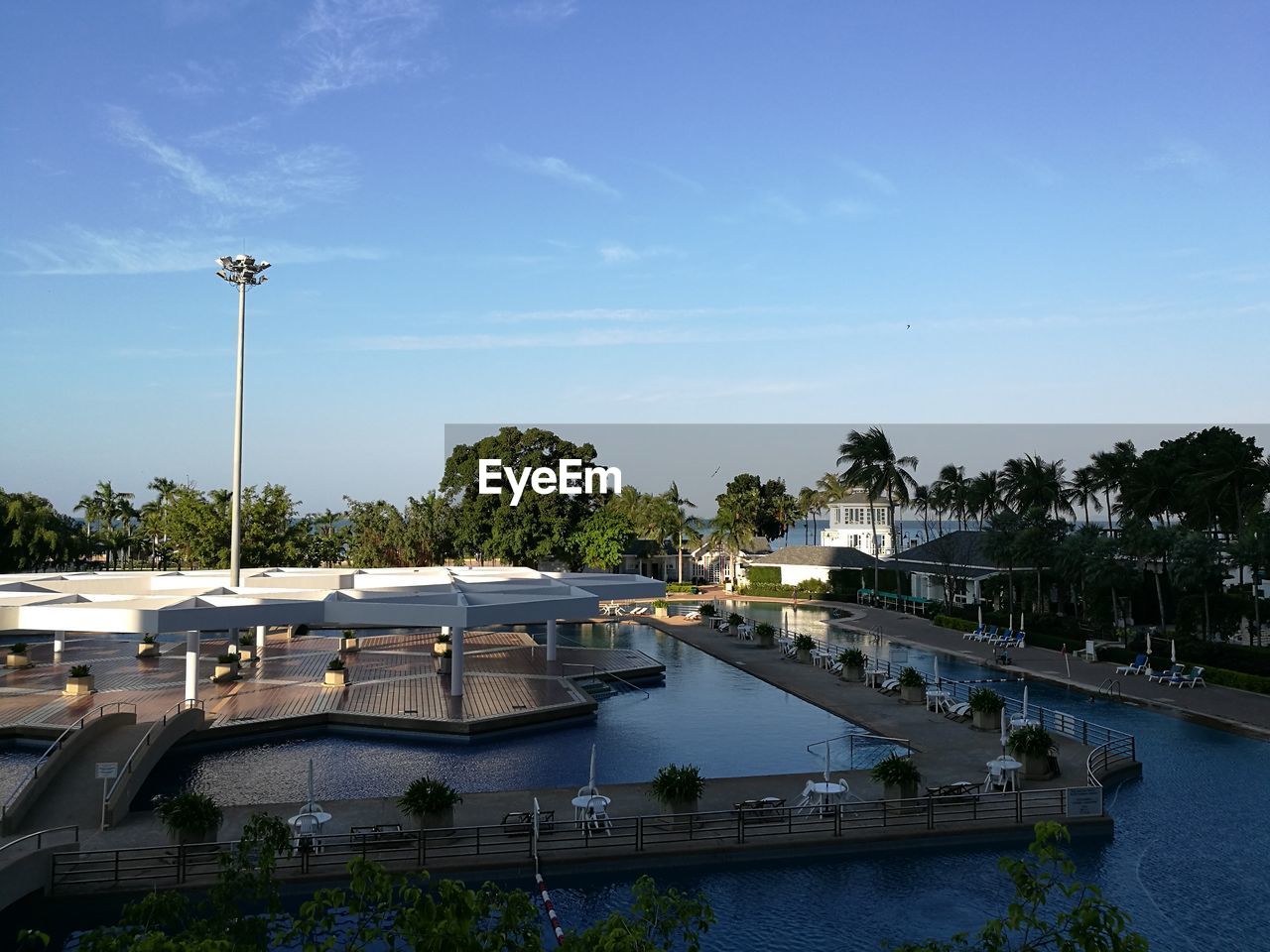 REFLECTION OF TREES ON SWIMMING POOL