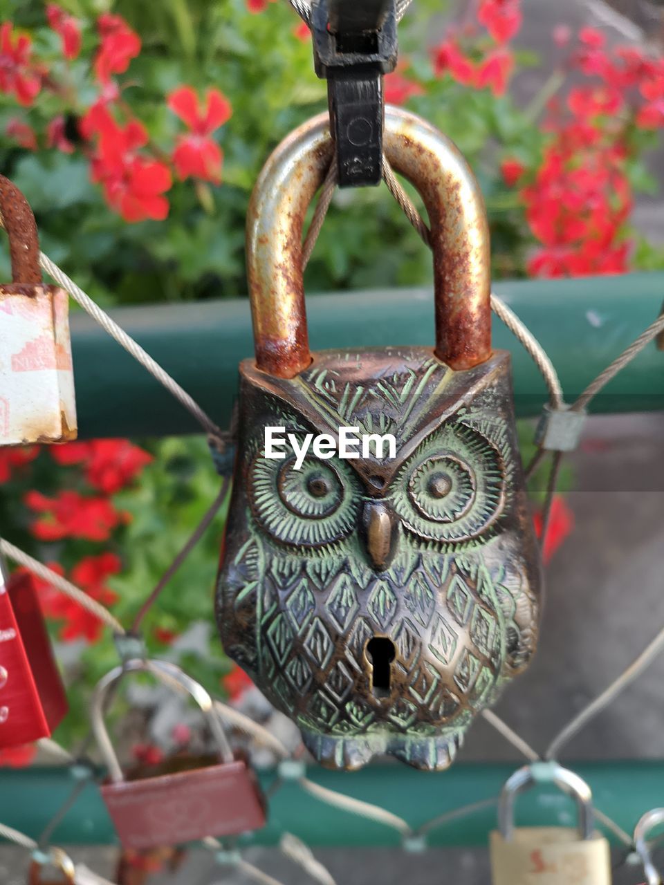 CLOSE-UP OF PADLOCKS HANGING ON CHAIN