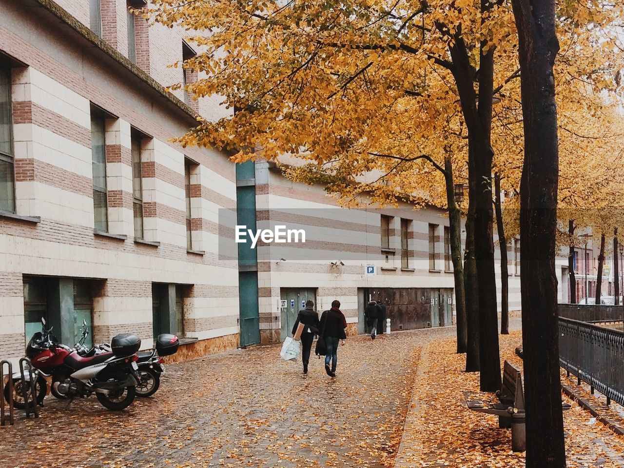 PEOPLE WALKING ON TREE