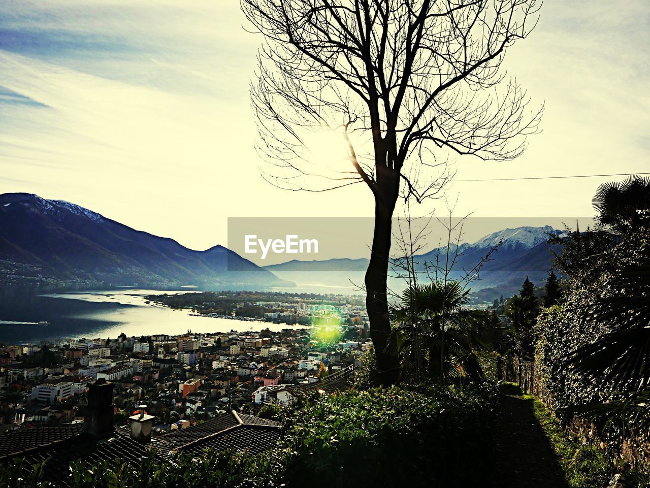 View of bare tree and townscape against mountains