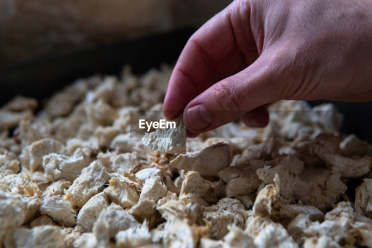 hand, food, baked, one person, food and drink, selective focus, close-up, occupation, snack, dish, adult, produce, nature, freshness, making, indoors