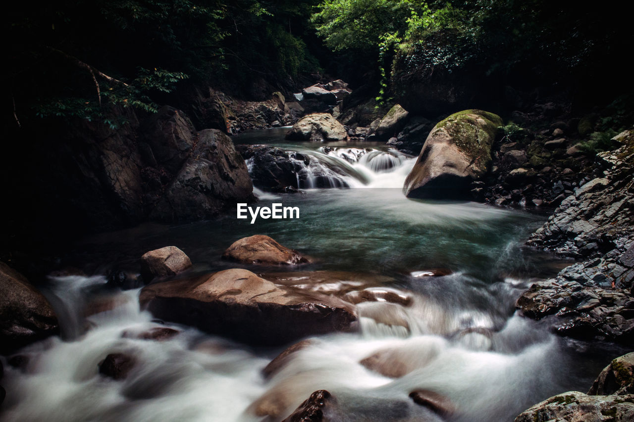 Stream flowing through rocks in forest