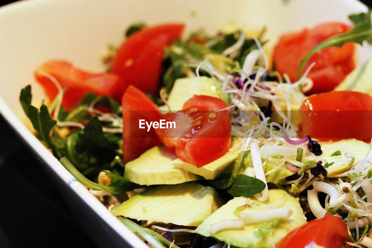 Close-up of salad in plate