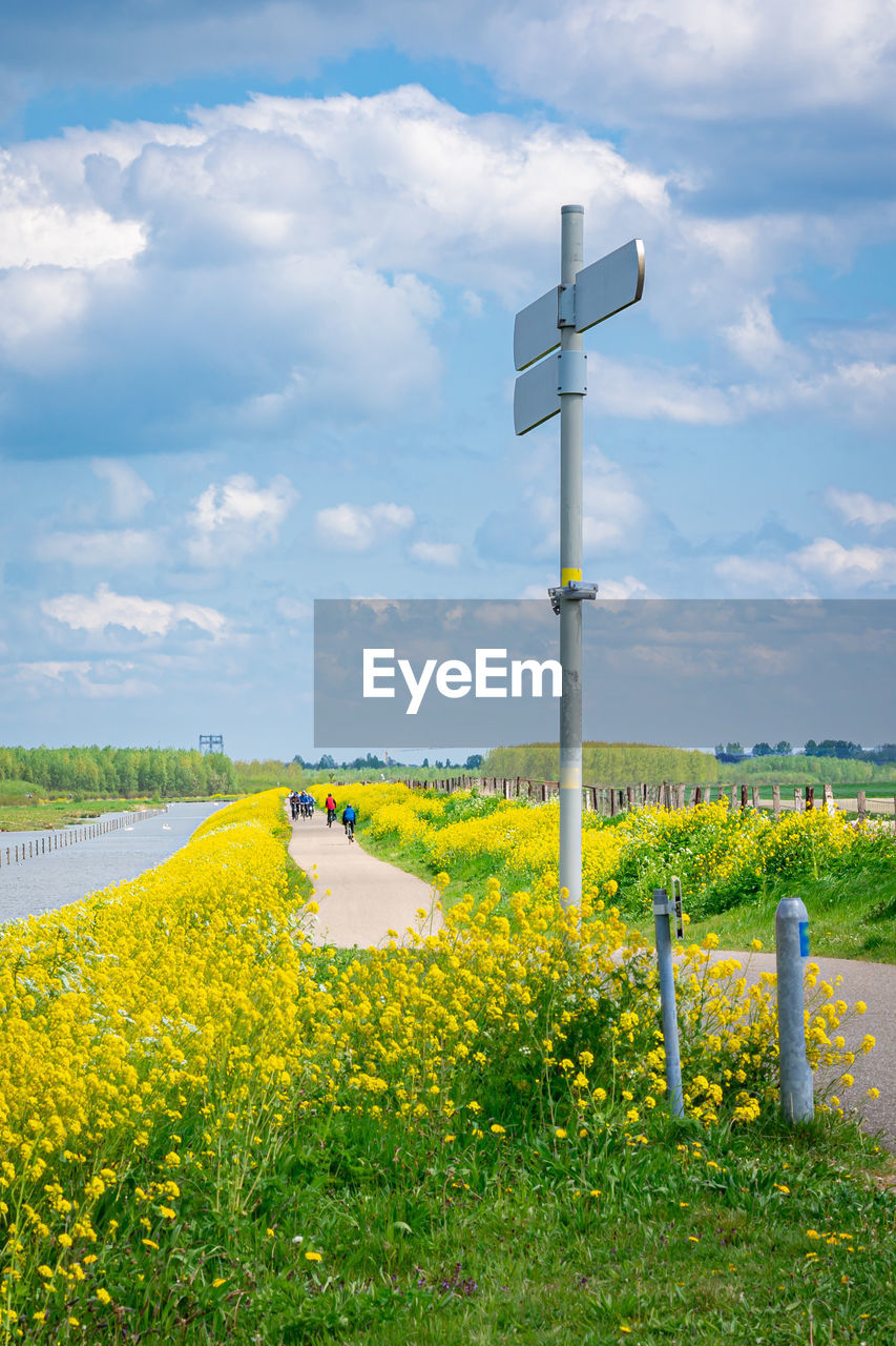 rapeseed, sky, flower, nature, cloud, plant, landscape, environment, land, field, prairie, rural area, beauty in nature, rural scene, yellow, grass, canola, flowering plant, tranquility, no people, scenics - nature, day, meadow, horizon, tranquil scene, agriculture, outdoors, wind, mustard, water, non-urban scene, green, growth, environmental conservation, idyllic, blue, vegetable, farm, springtime, hill, wildflower