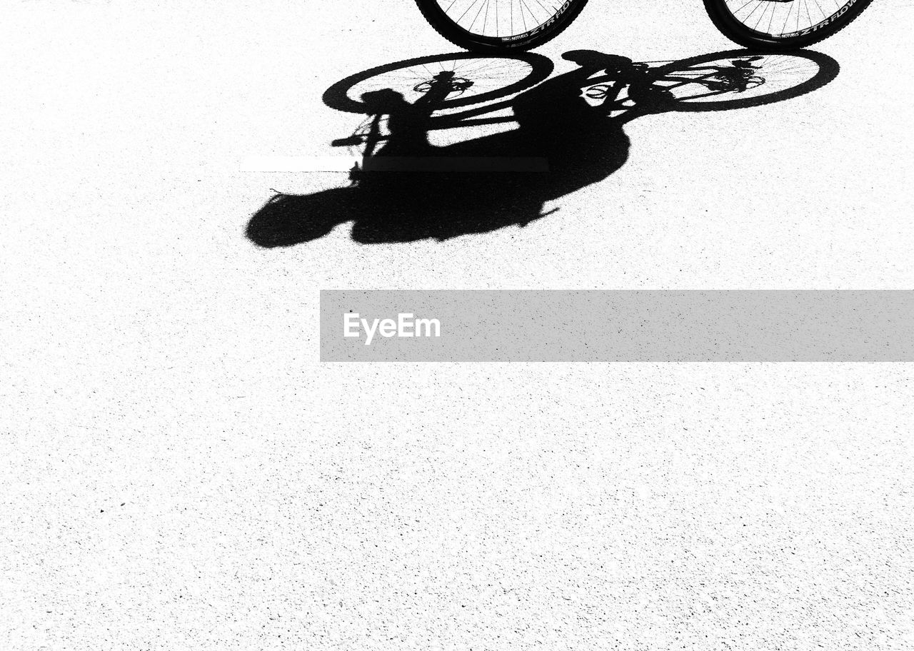 Shadow of person riding bicycle on street during sunny day