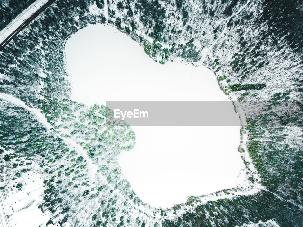 Aerial view of trees and frozen lake in forest