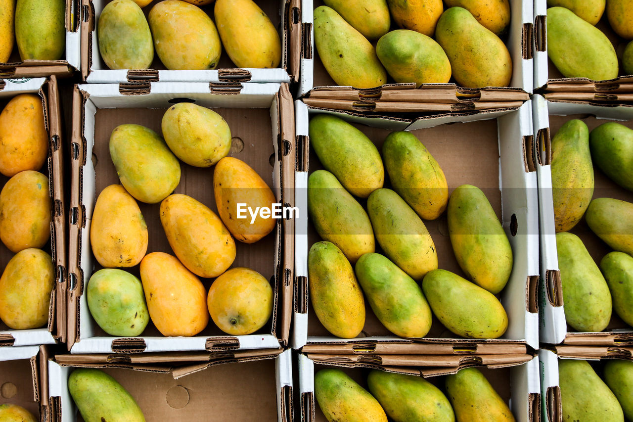 FRUITS FOR SALE AT MARKET