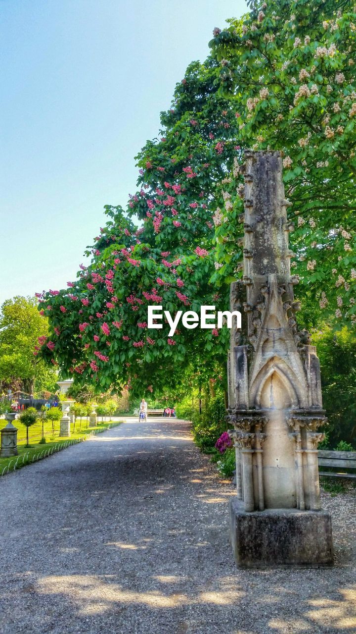 VIEW OF FOOTPATH ALONG TREES