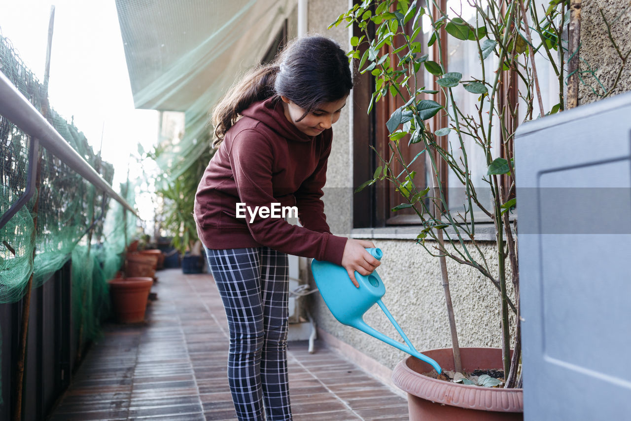 Girl wearing brown top watering roses in flower pot at home balcony