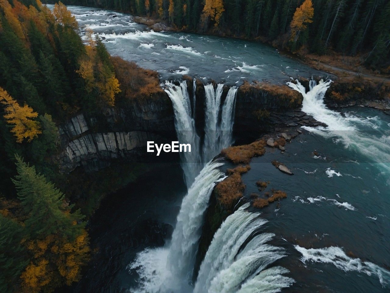 low angle view of waterfall in forest