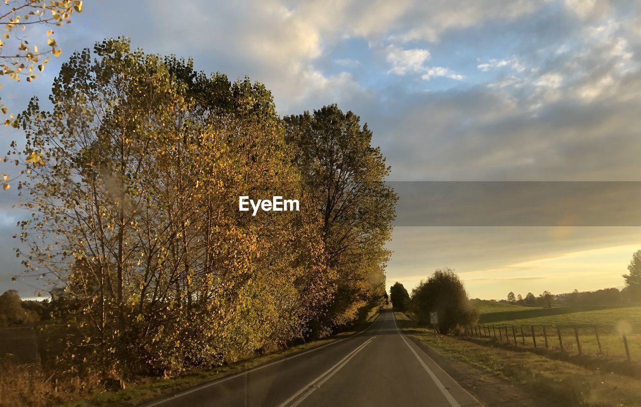 EMPTY ROAD AGAINST TREES DURING SUNSET