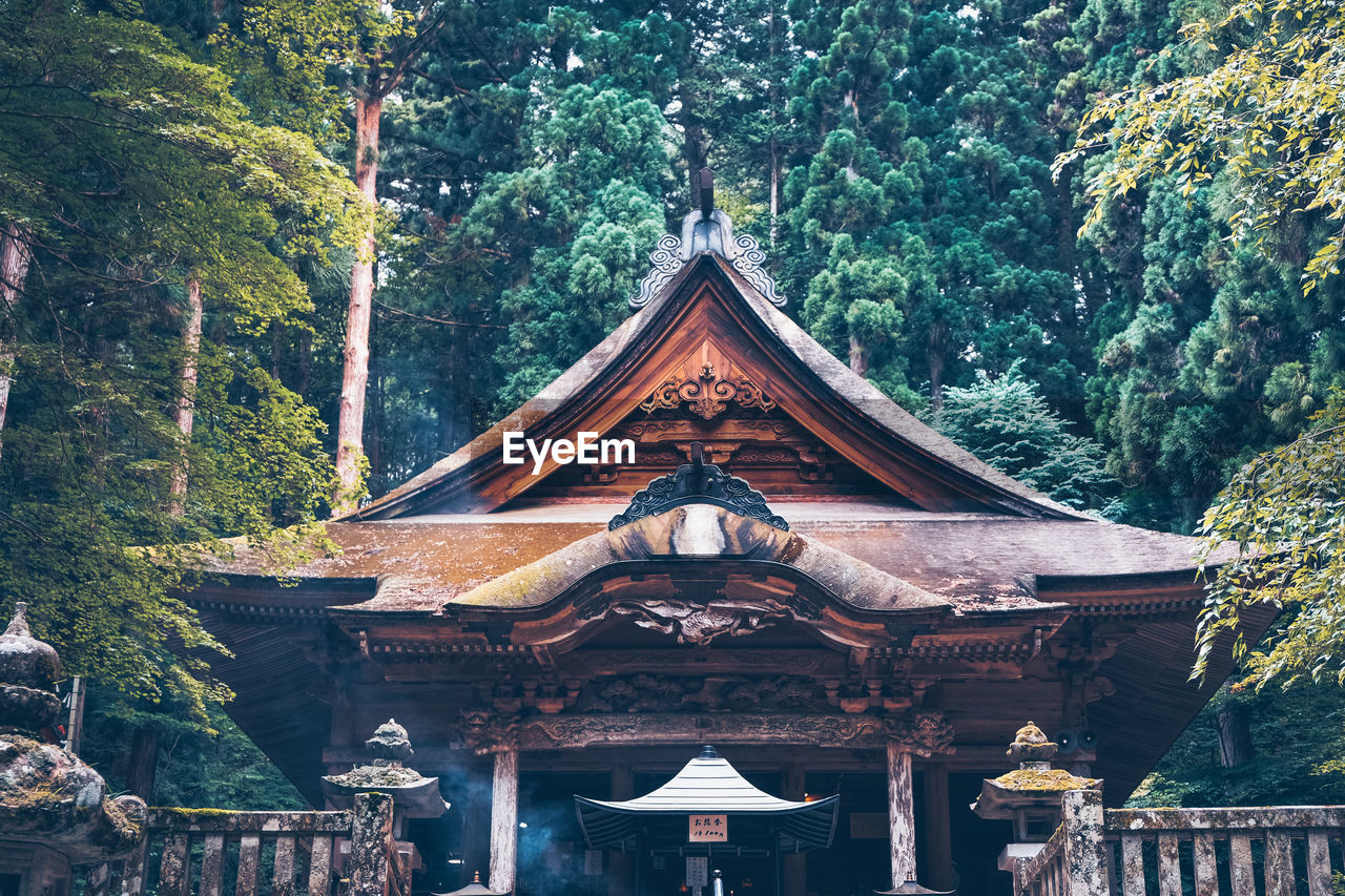 Low angle view of building amidst trees in forest