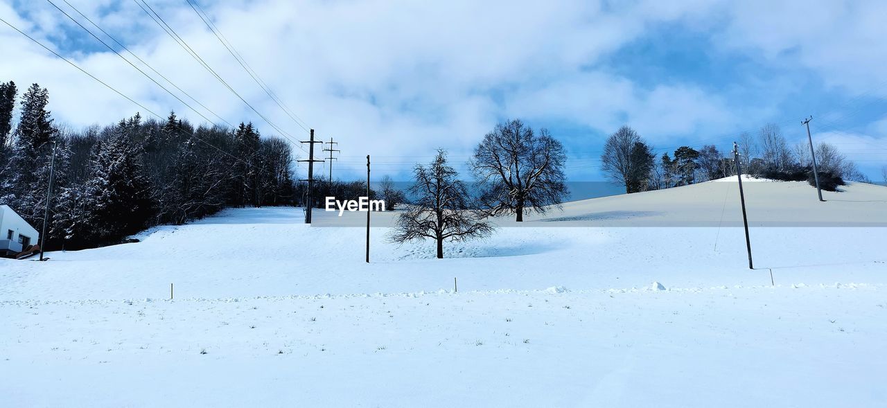 Trees on snow covered field against sky