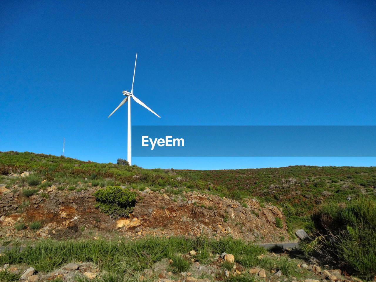 WIND TURBINES ON FIELD AGAINST CLEAR SKY