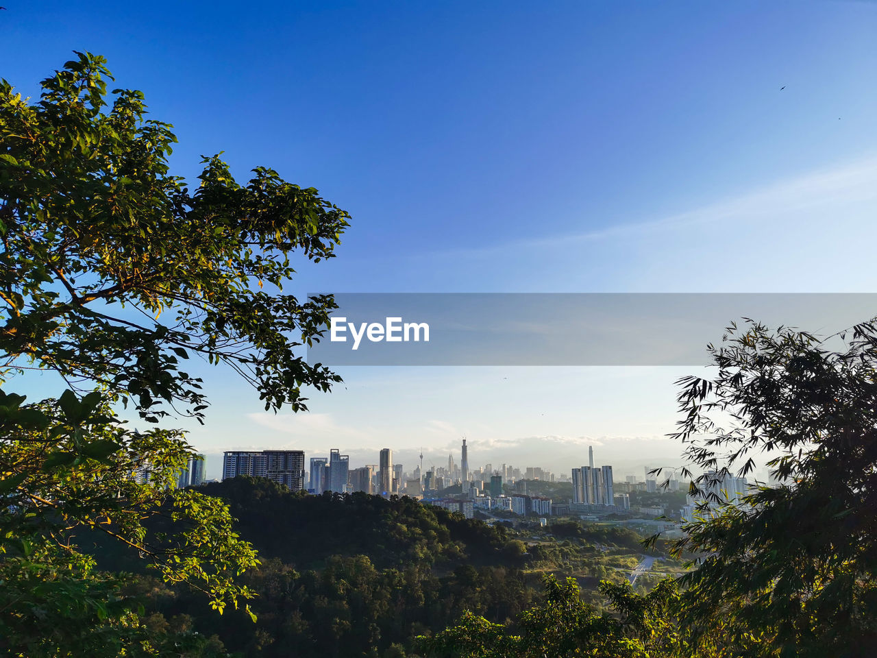 TREES AND BUILDINGS IN CITY AGAINST SKY